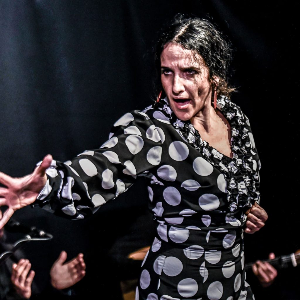 irene olivares professeur flamenco